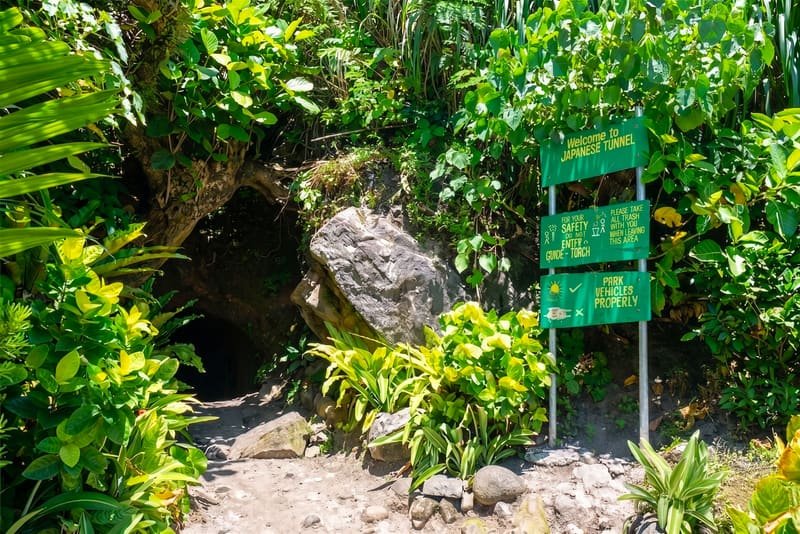 Japanese Tunnel
