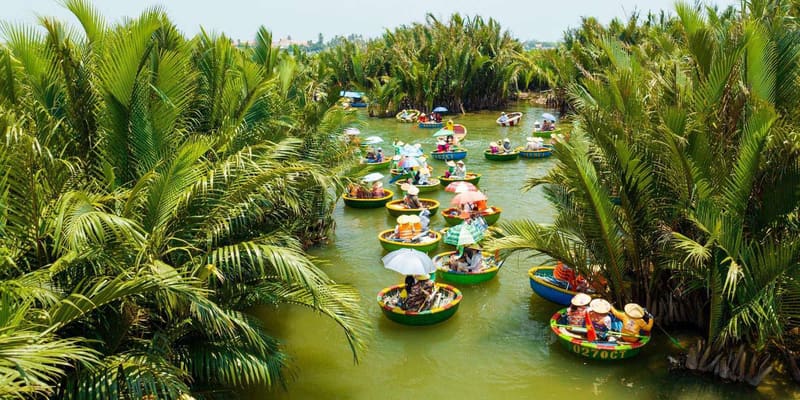 Bay Mau Coconut Forest
