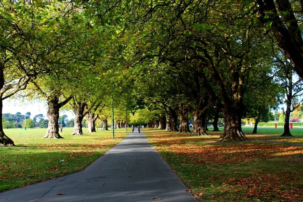 Hagley Park