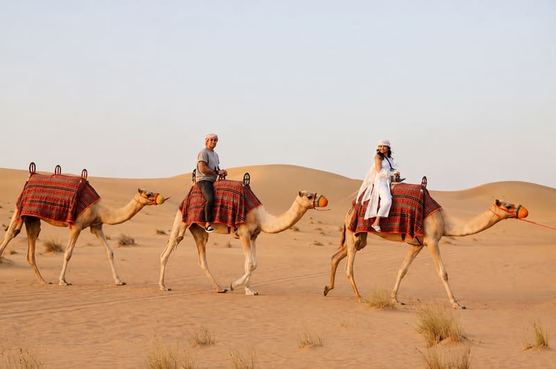 Camel Ride