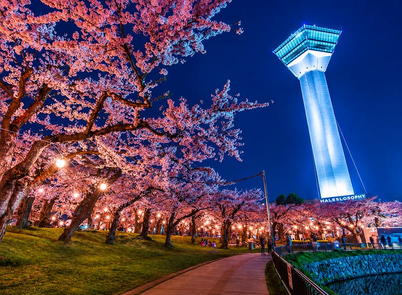 Goryokaku Tower