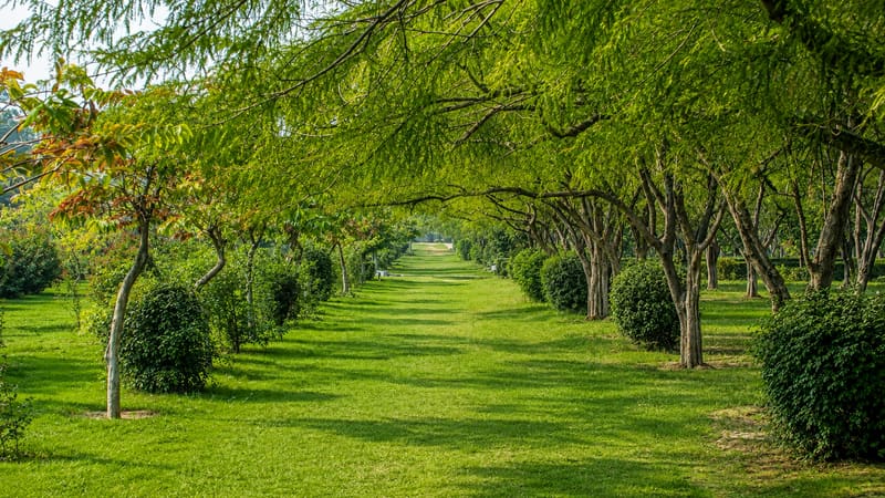 Mehtab Bagh