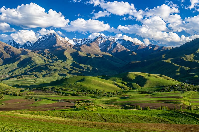 Chuy Valley