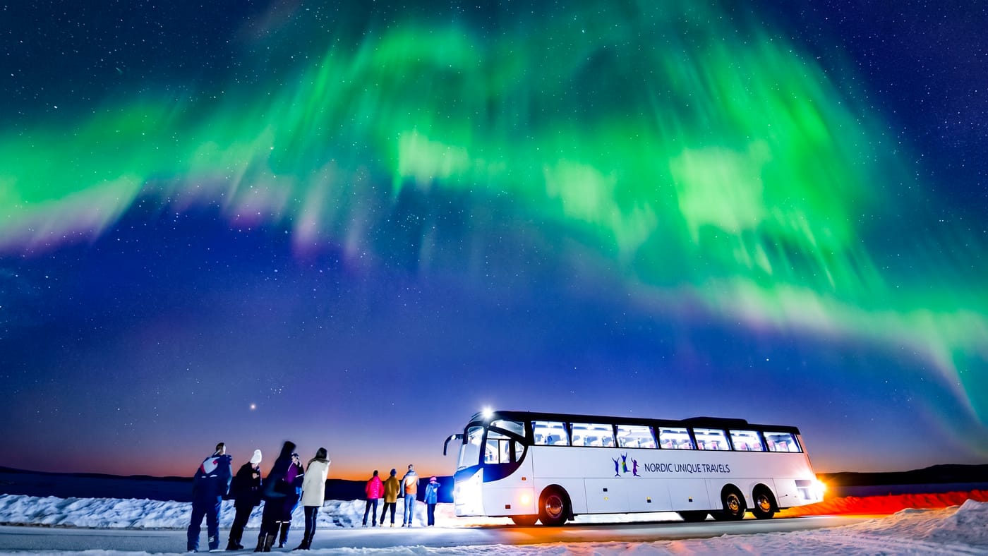 Northern Lights Hunting by Bus