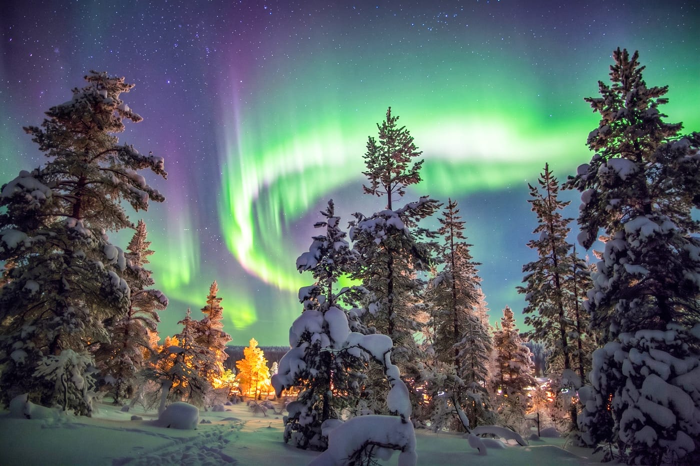 Northern Lights Hunting by Snowshoes
