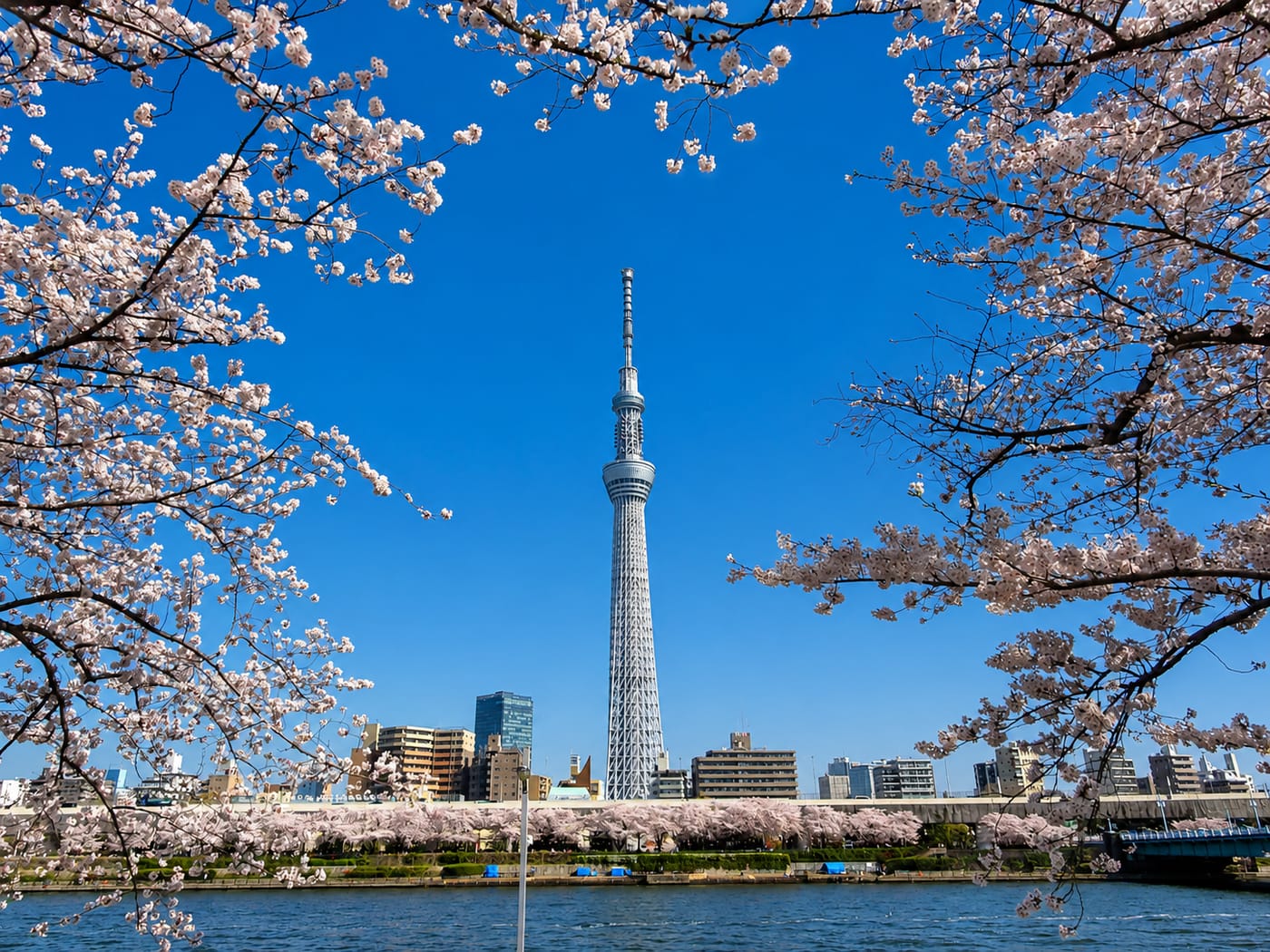 Tokyo Skytree