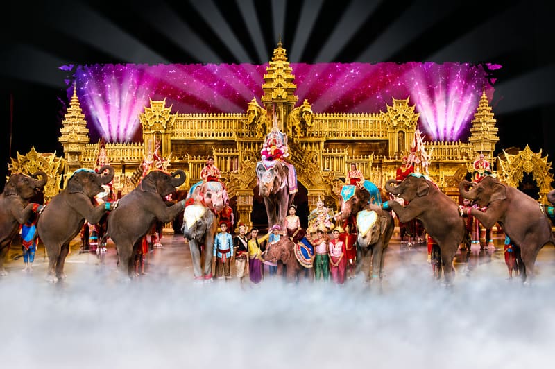 Elephant Show