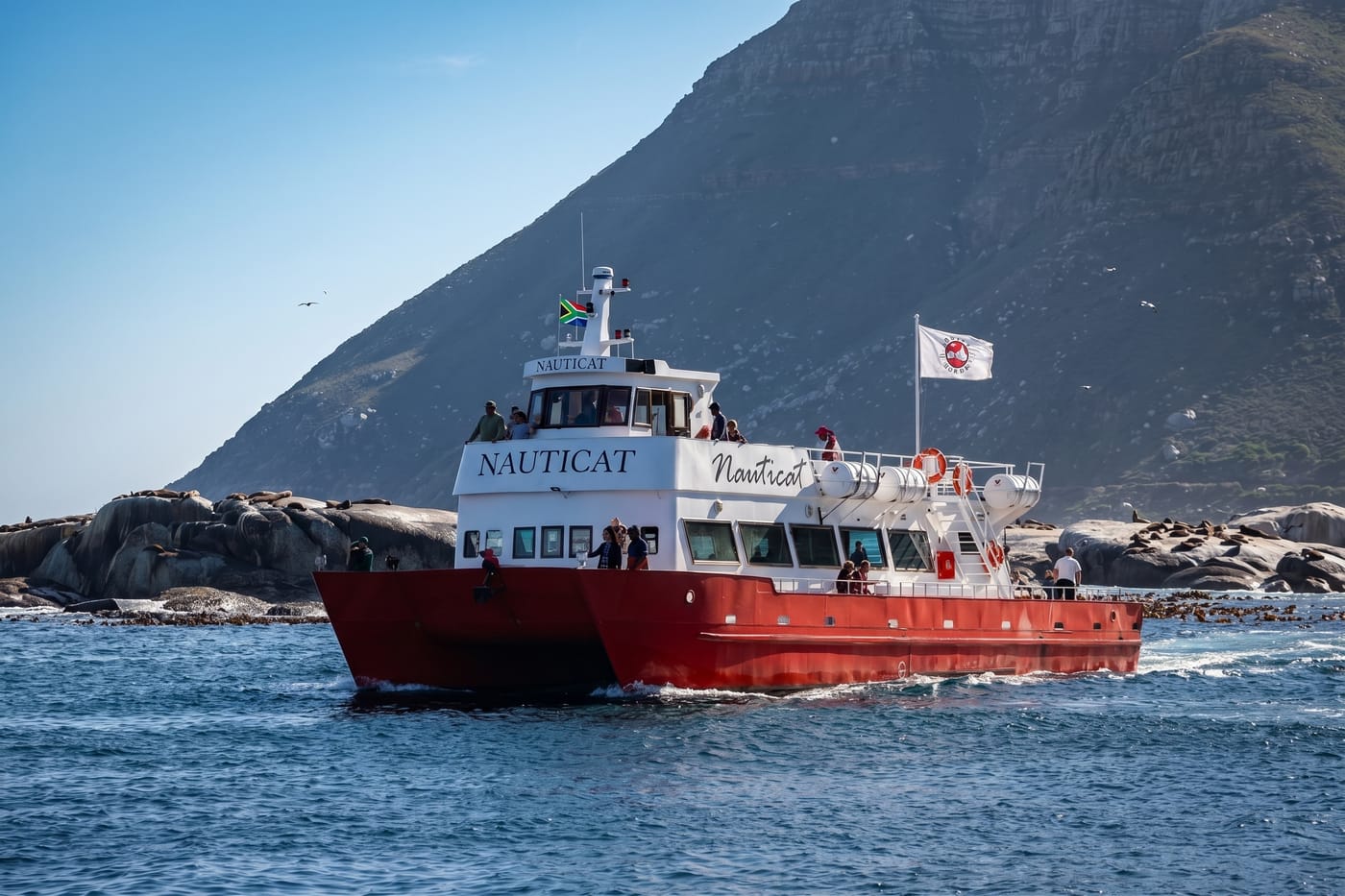 Boat Cruise to Duiker Island