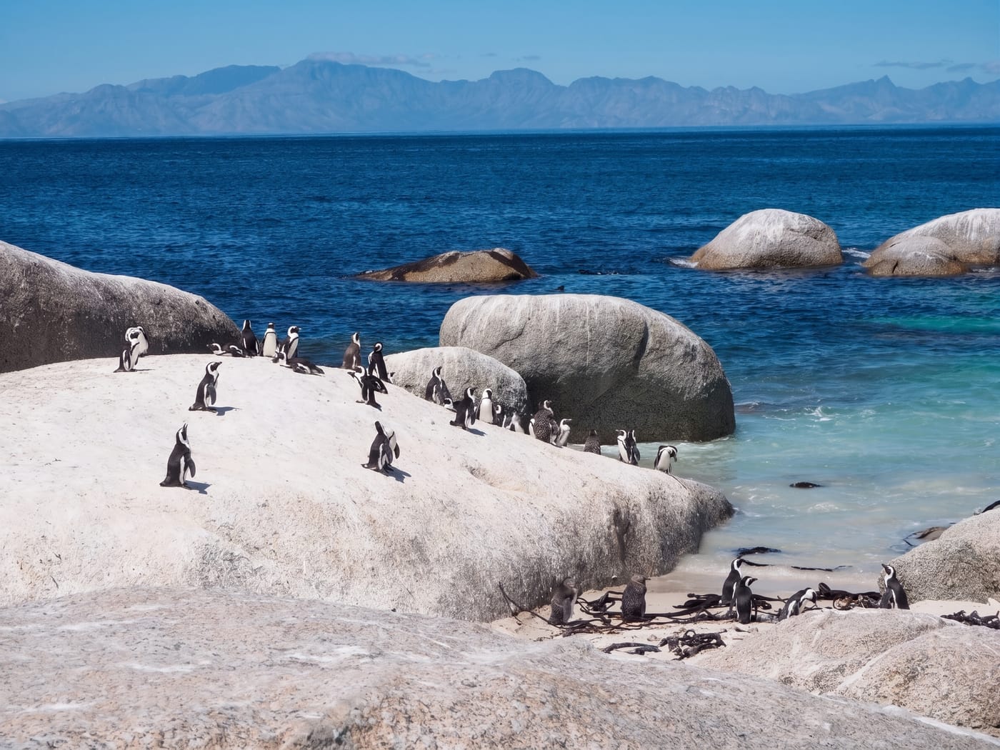 Boulders Beach and Foxy Beach