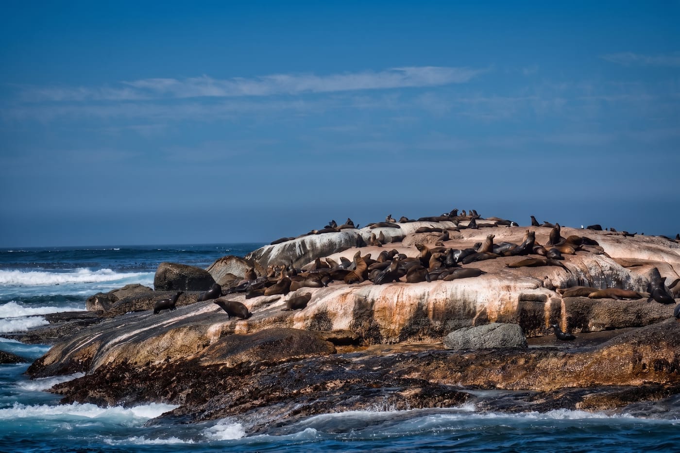 Seal Island