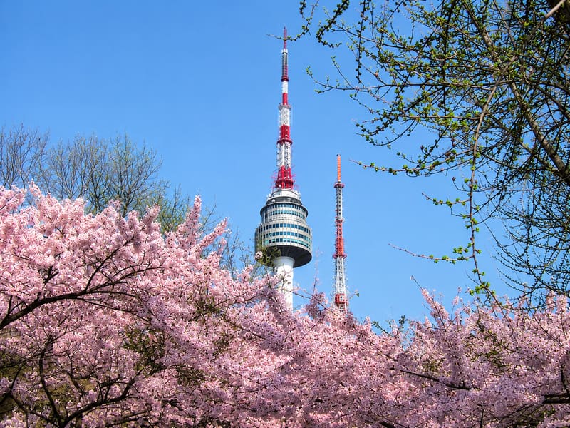 N Seoul Tower