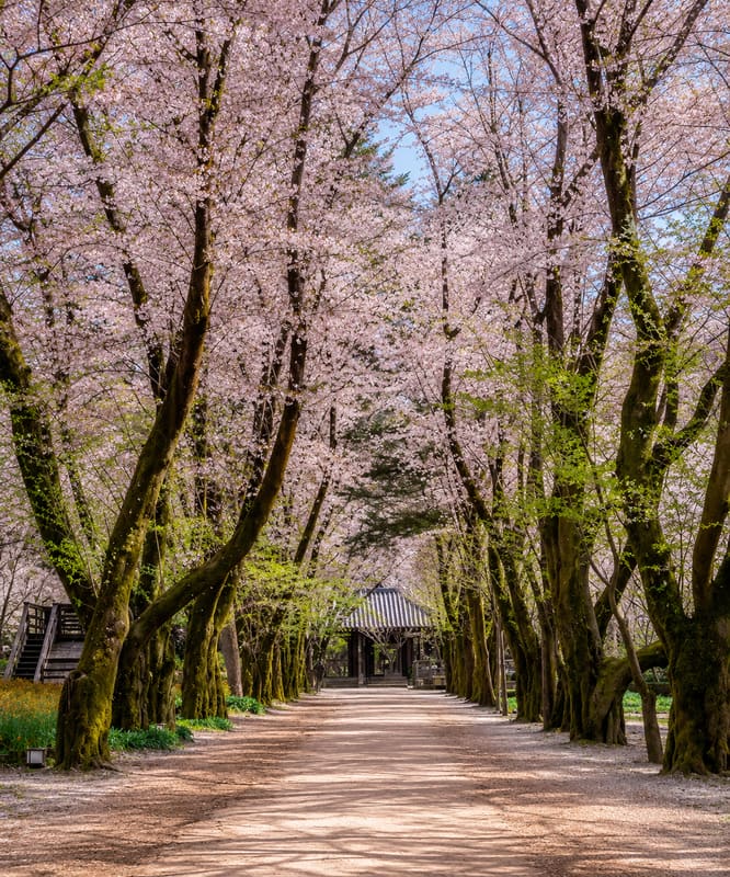 Nami Island