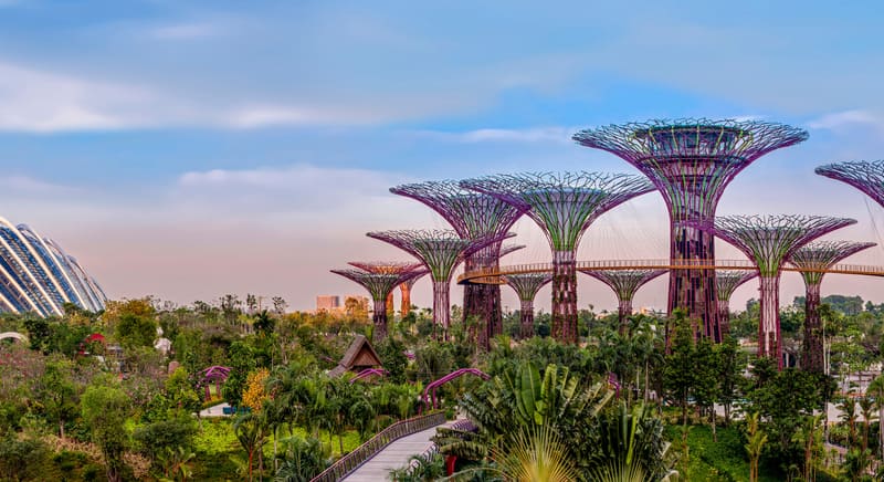 Gardens by the Bay