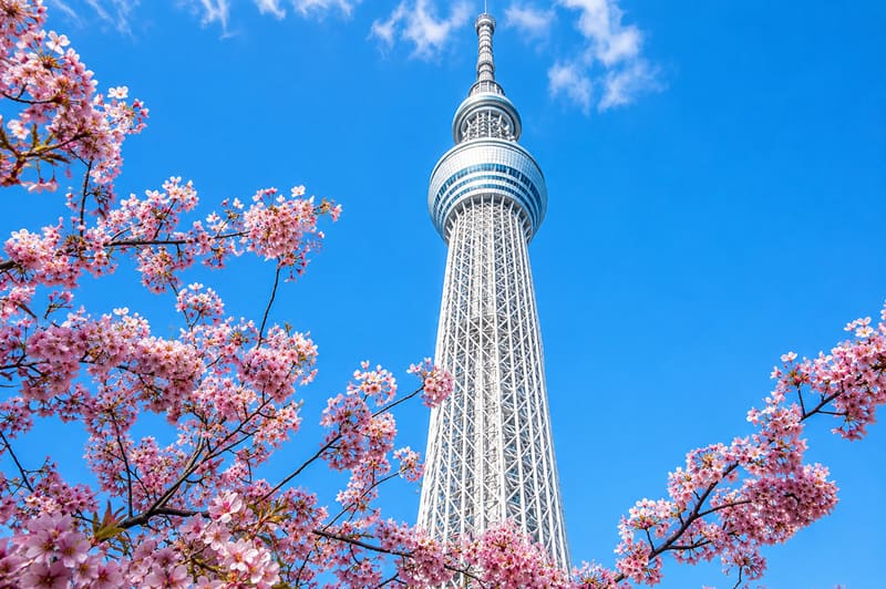 Sky Tree
