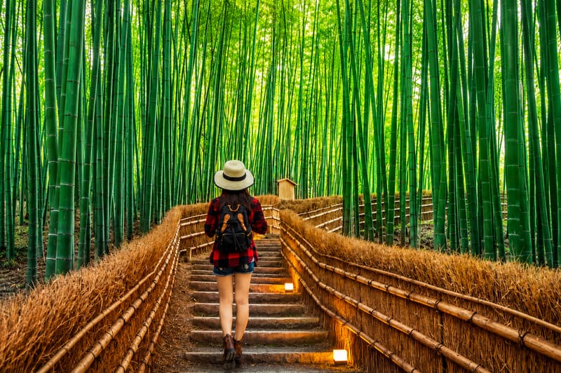 Arashiyama Bamboo Forest