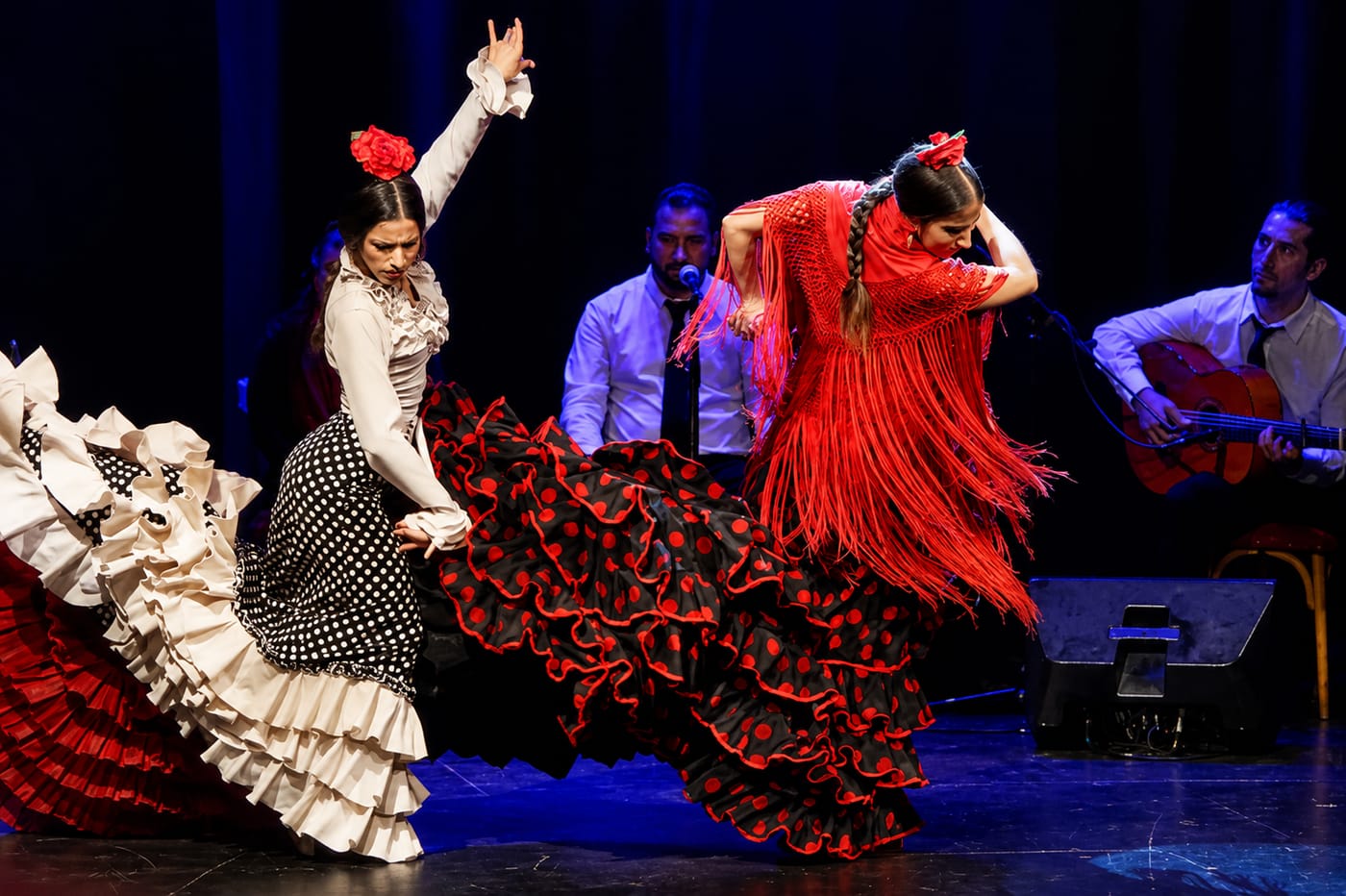 Flamenco Show