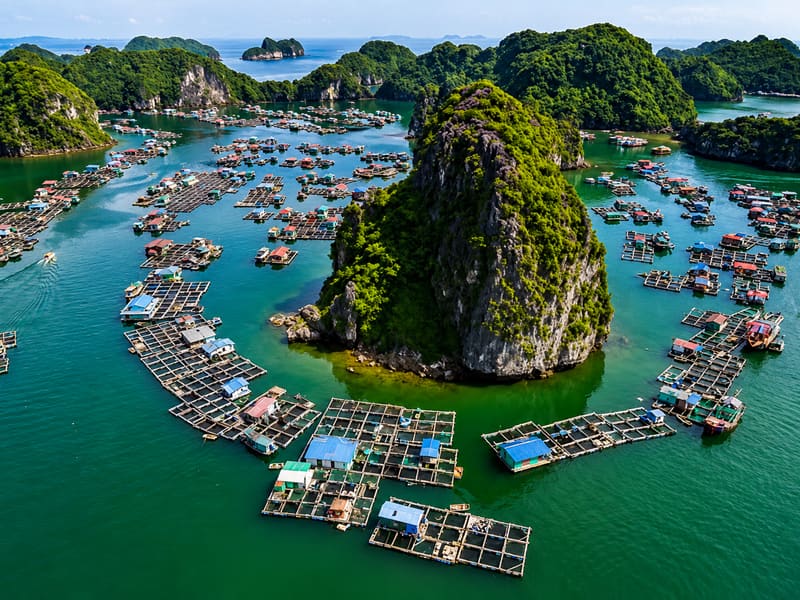 Viet Hai Fishing Village
