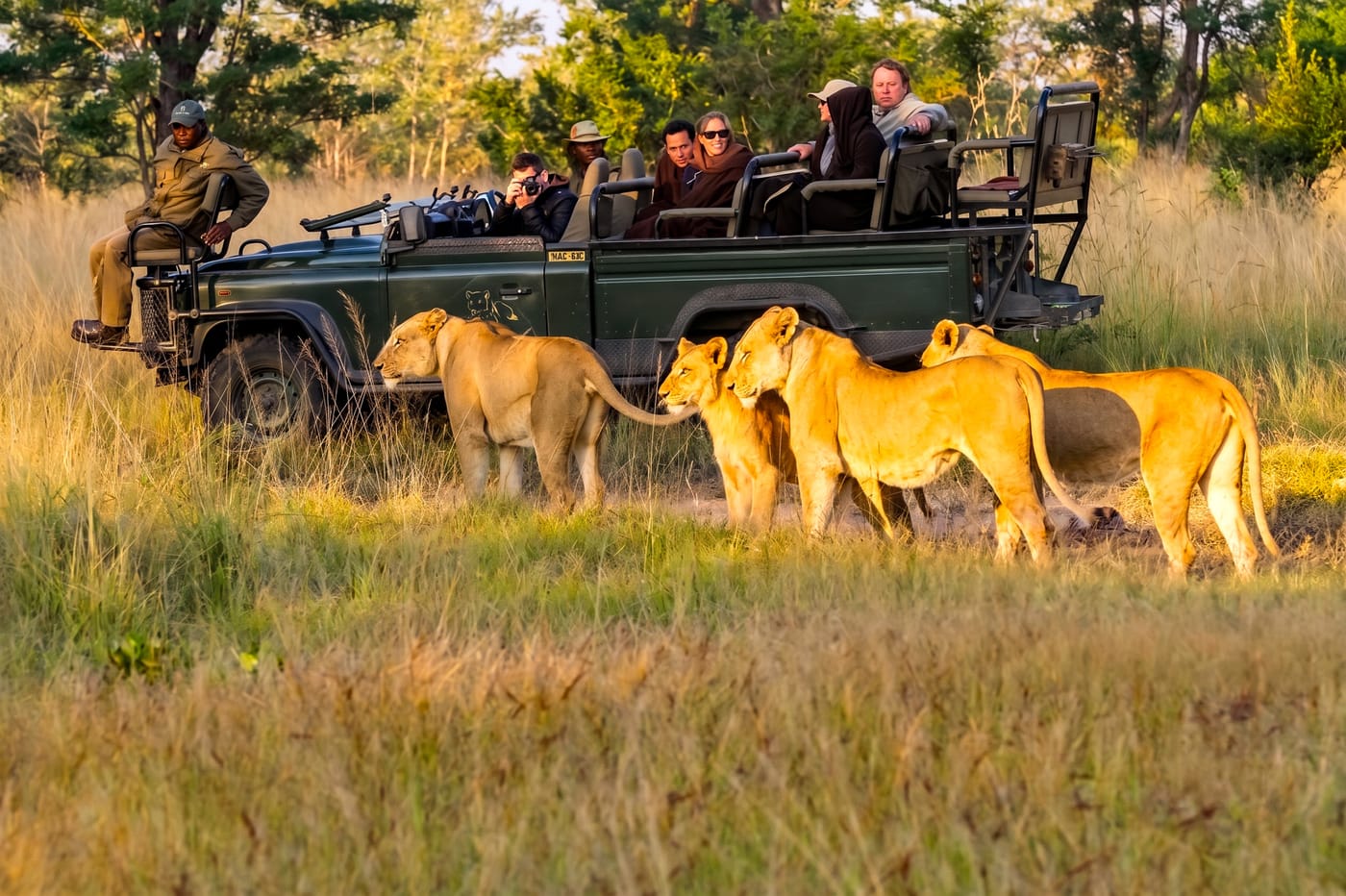 Private Guided 4x4 Safari Game Drive