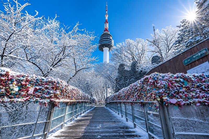 N Seoul Tower with Love Padlock Wall (No Lift)
