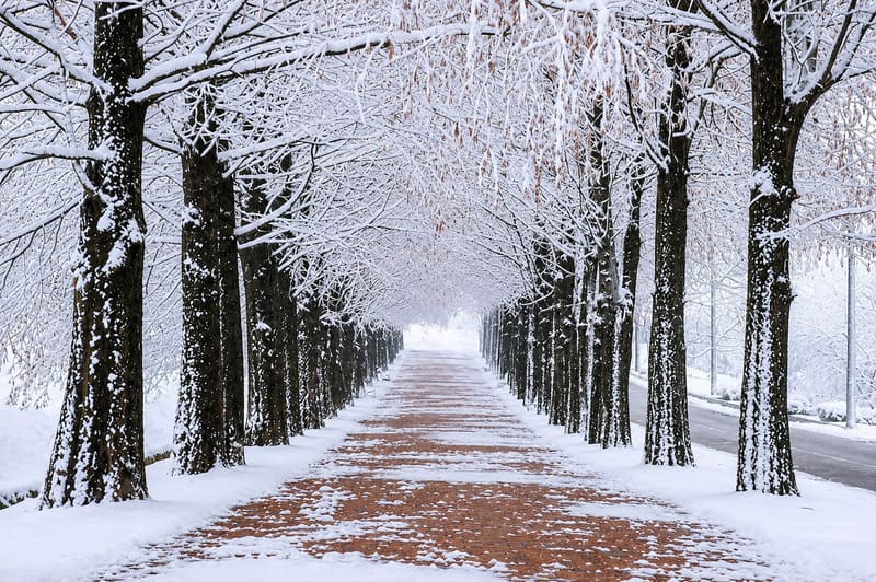 Nami Island