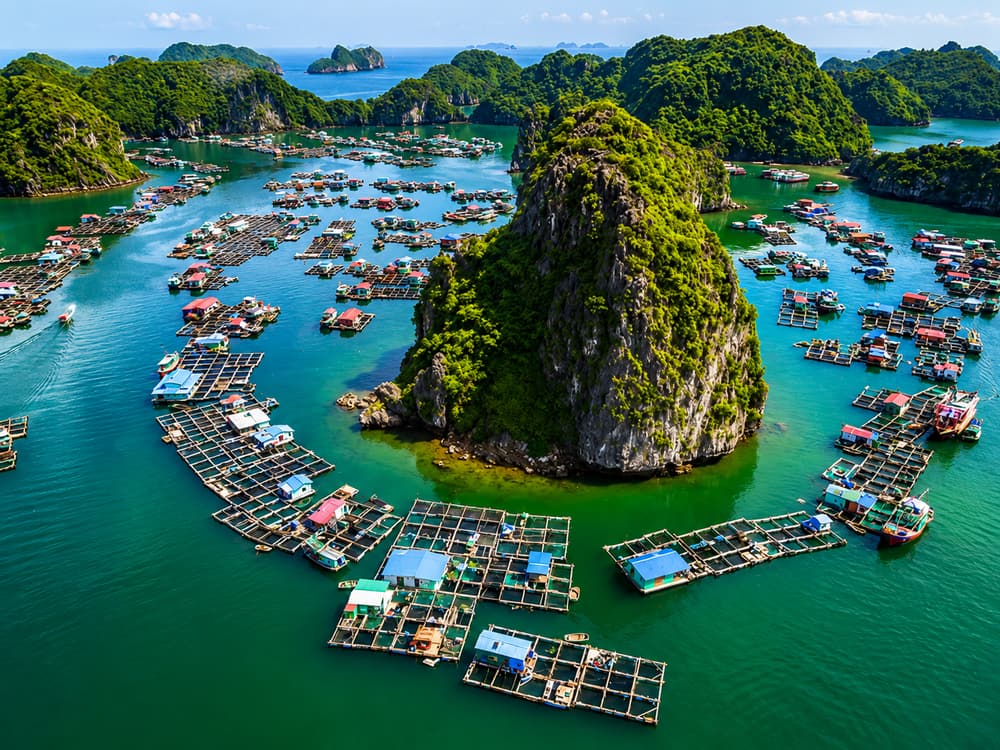 Hanoi & Halong Bay