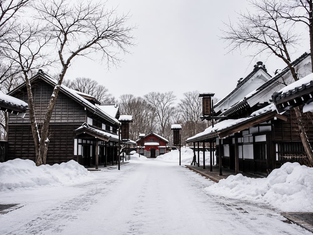 Hokkaido (Winter Festival)