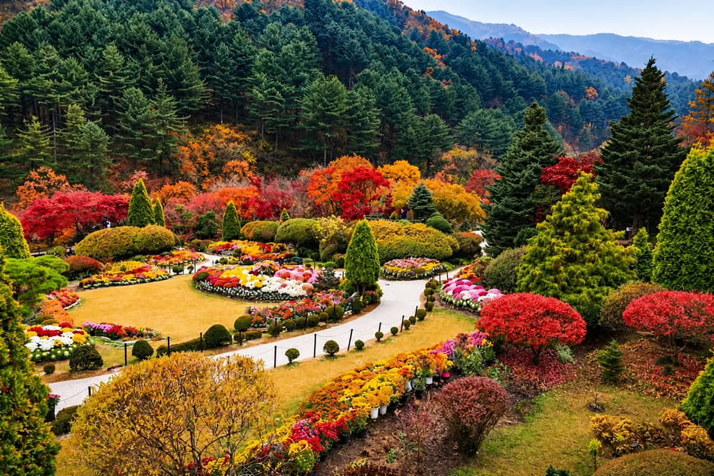 Springtime Korea