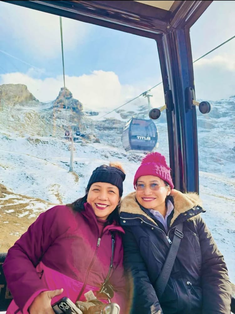 Avian travellers riding a cable car over snow-capped peaks